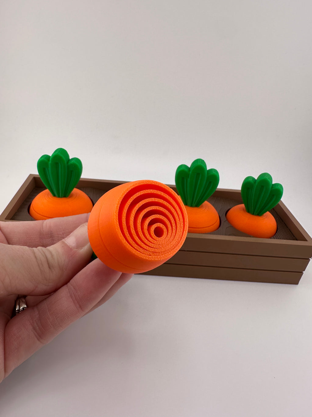 Carrot Garden Set for Spring and Summer Home and Office Decor 3D Printed