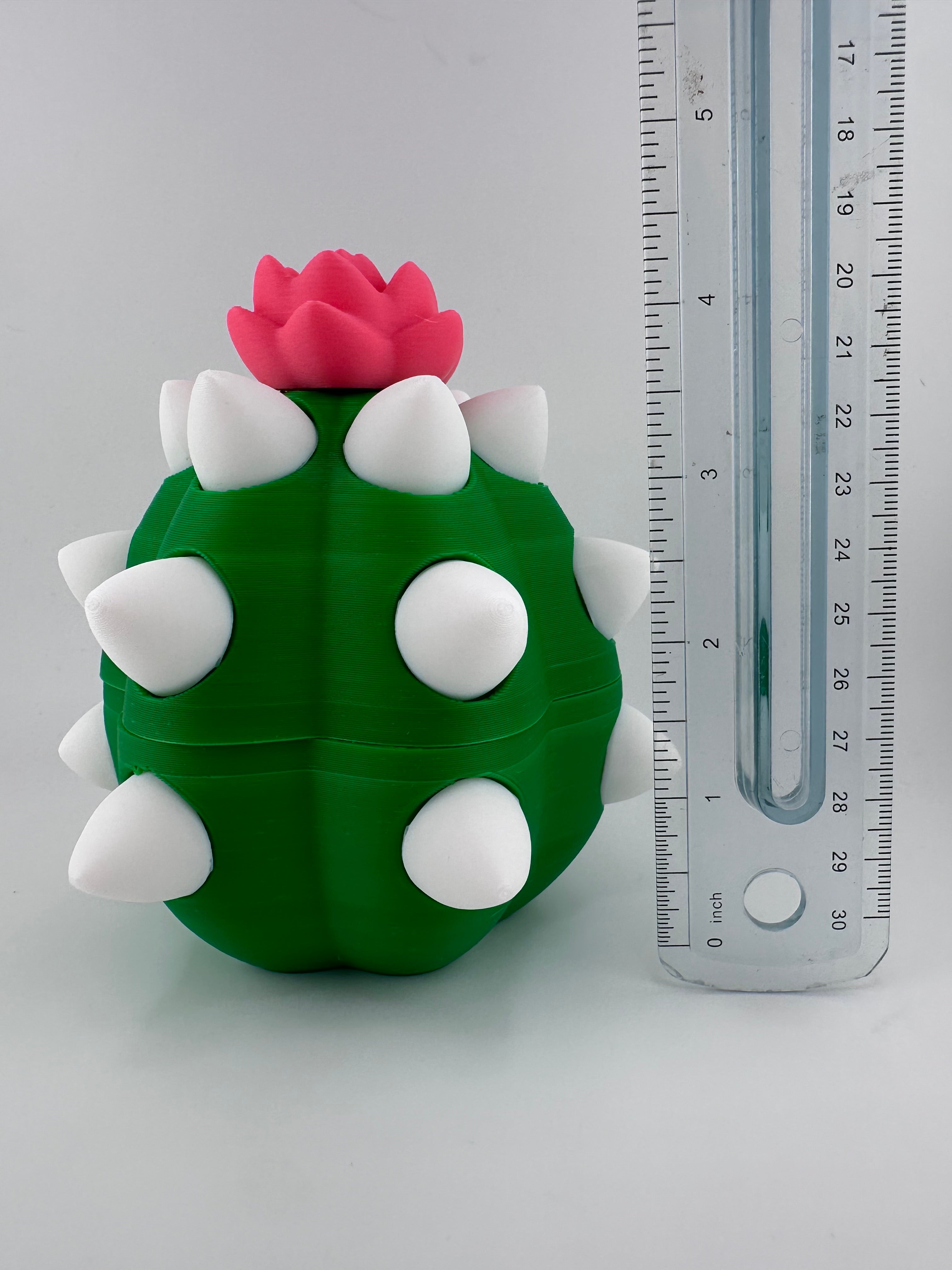 Cactus Dragon and Egg Set 3D Print Figurine and Container