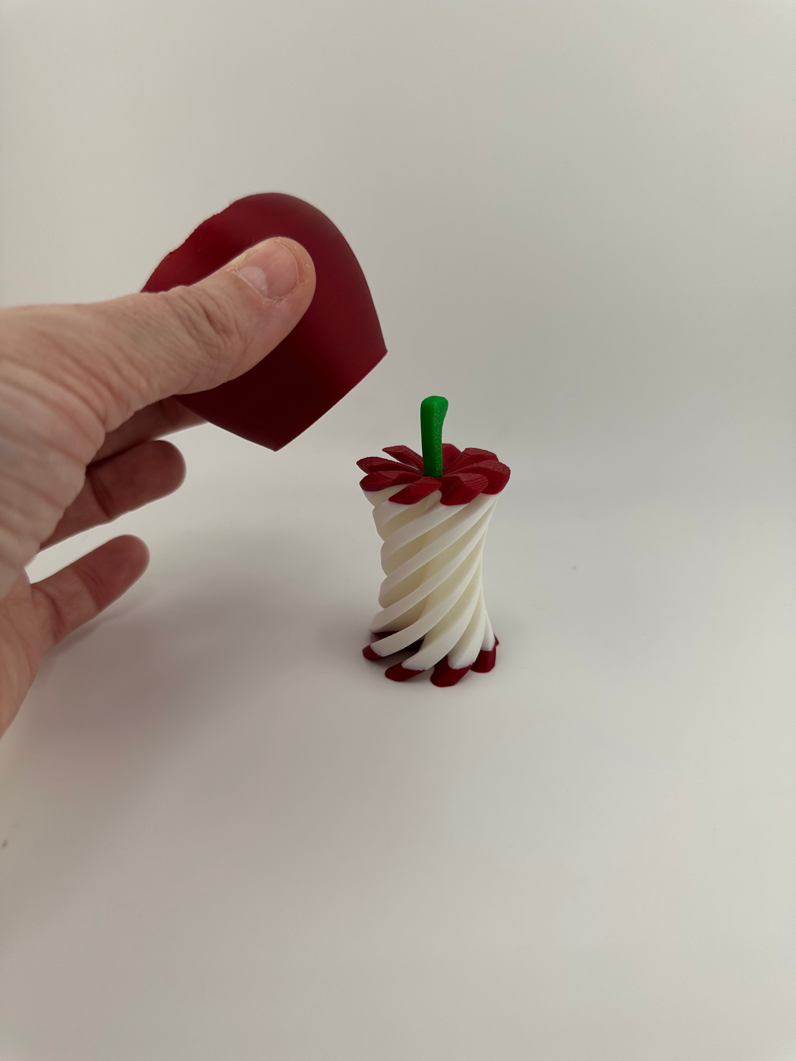 Apple & Core Spiral Twist Fidget