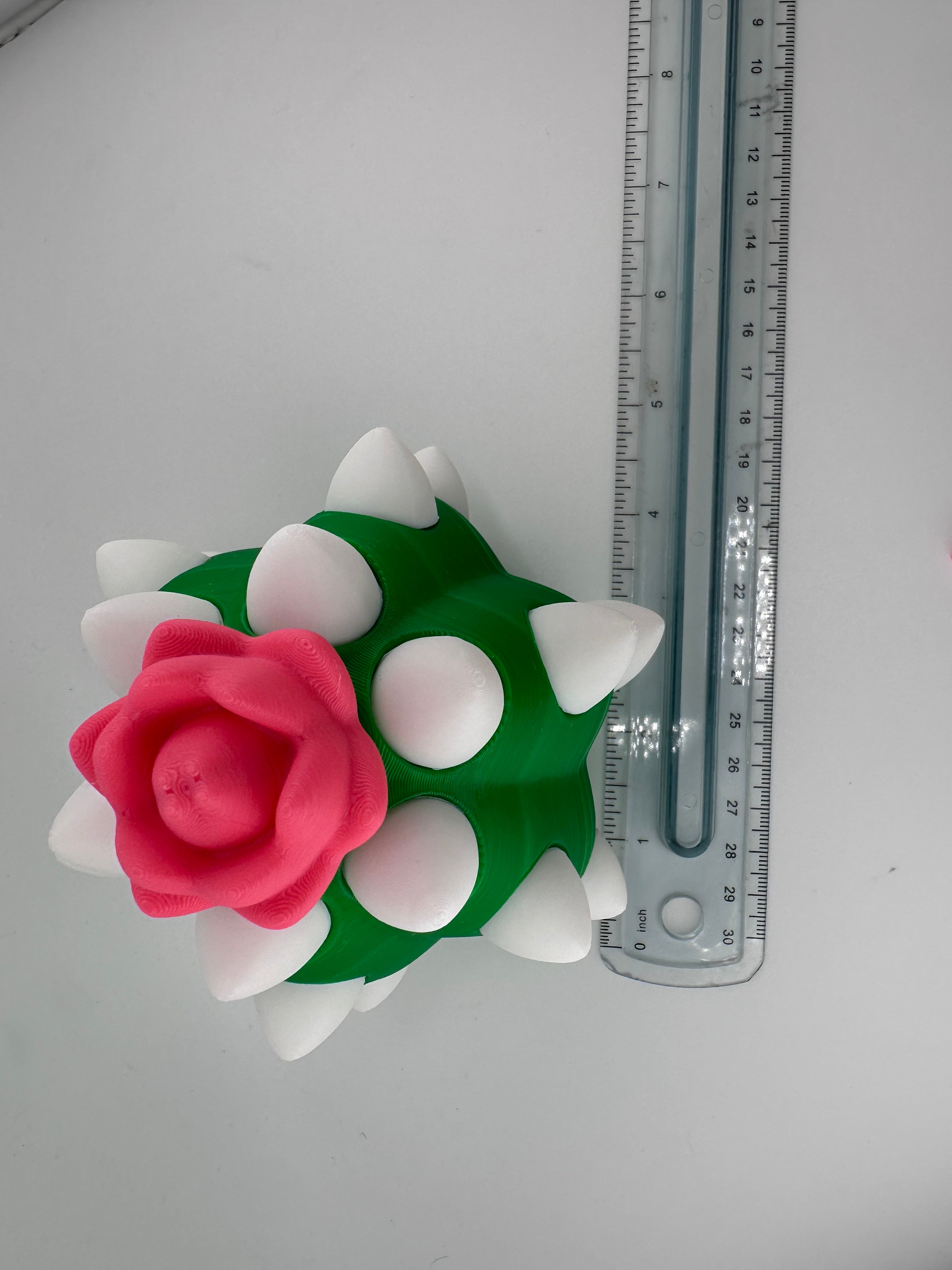 Cactus Dragon and Egg Set 3D Print Figurine and Container