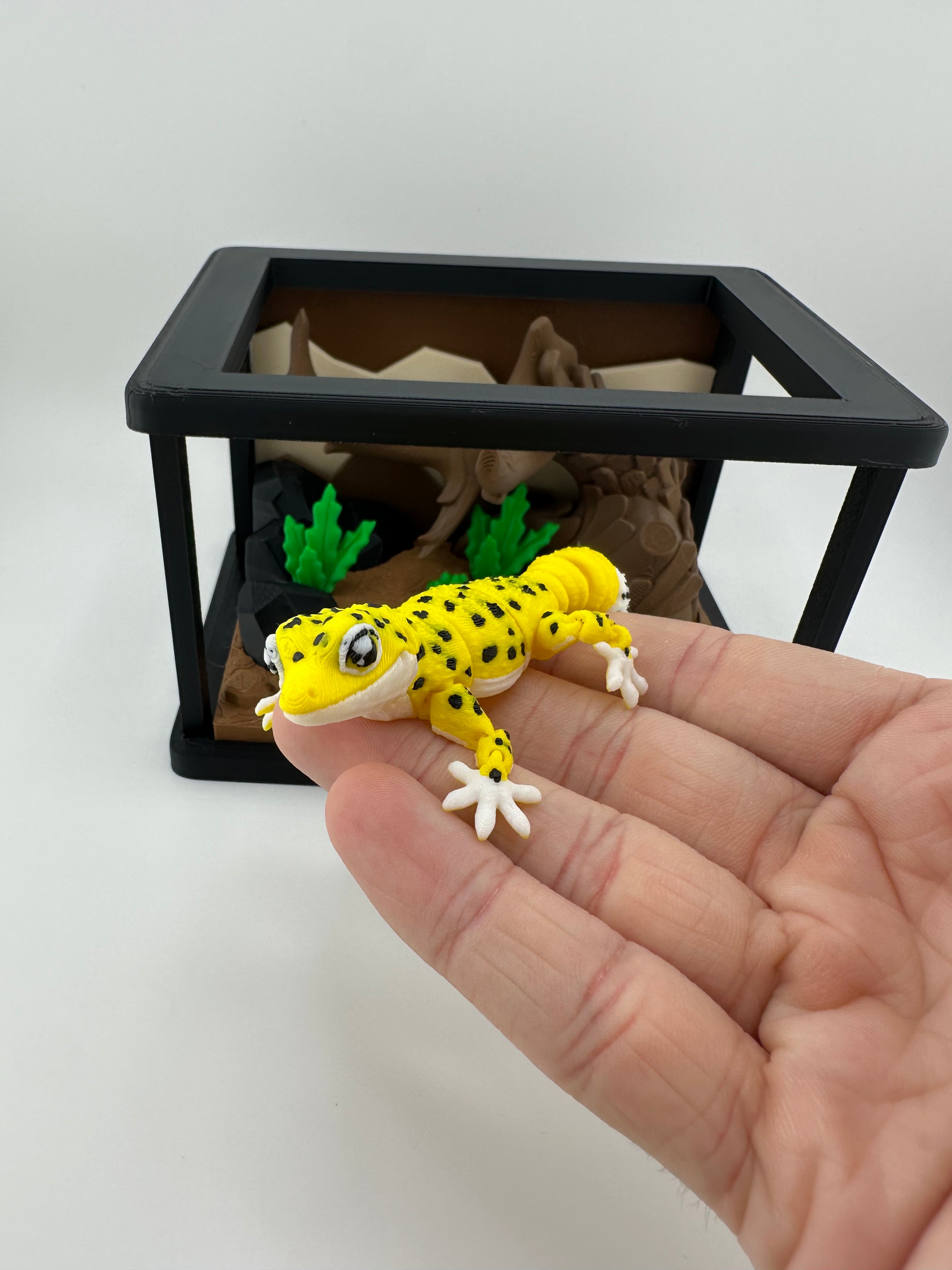 Gecko and Bearded Dragon Habitat Set