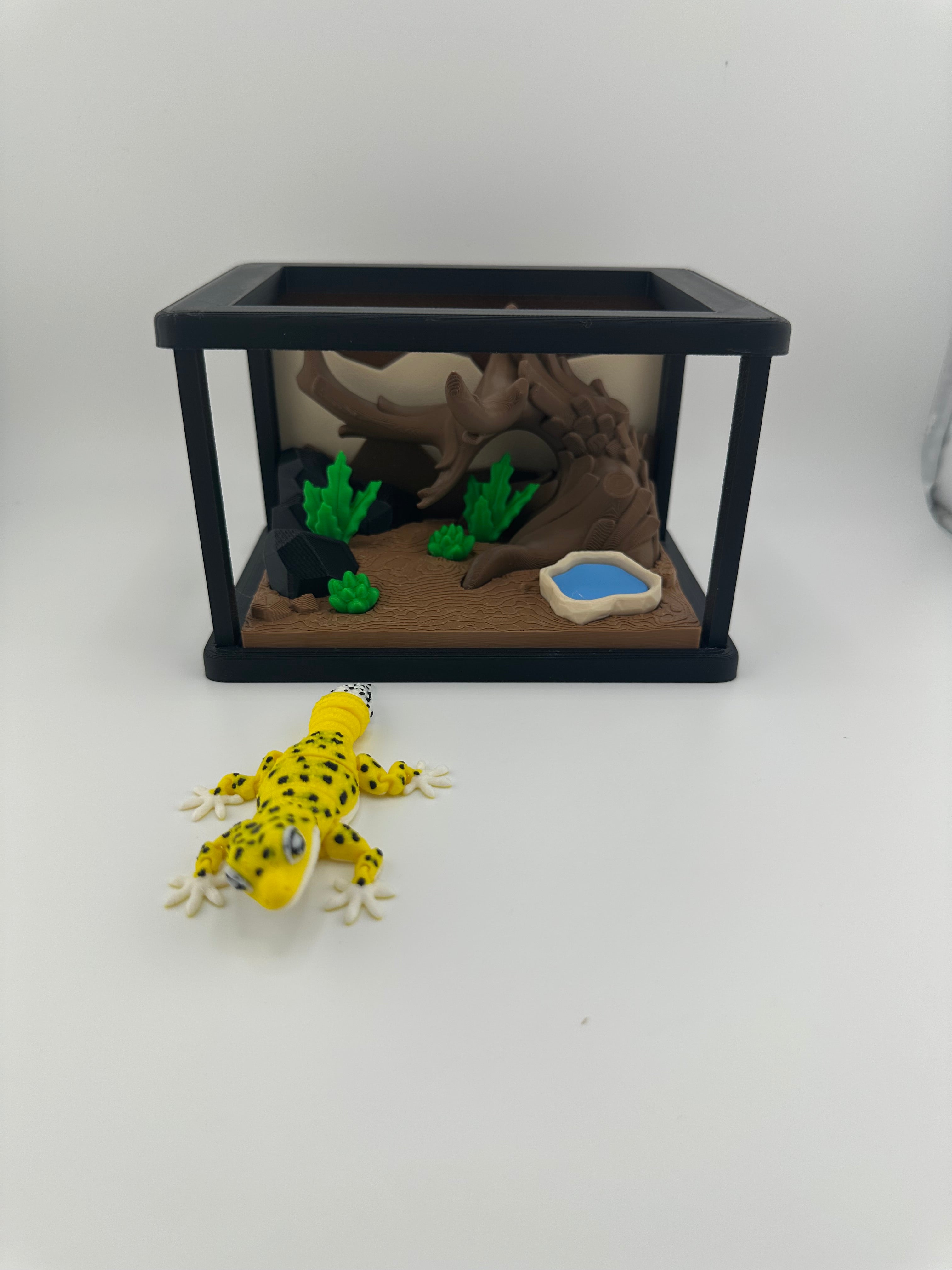 Gecko and Bearded Dragon Habitat Set