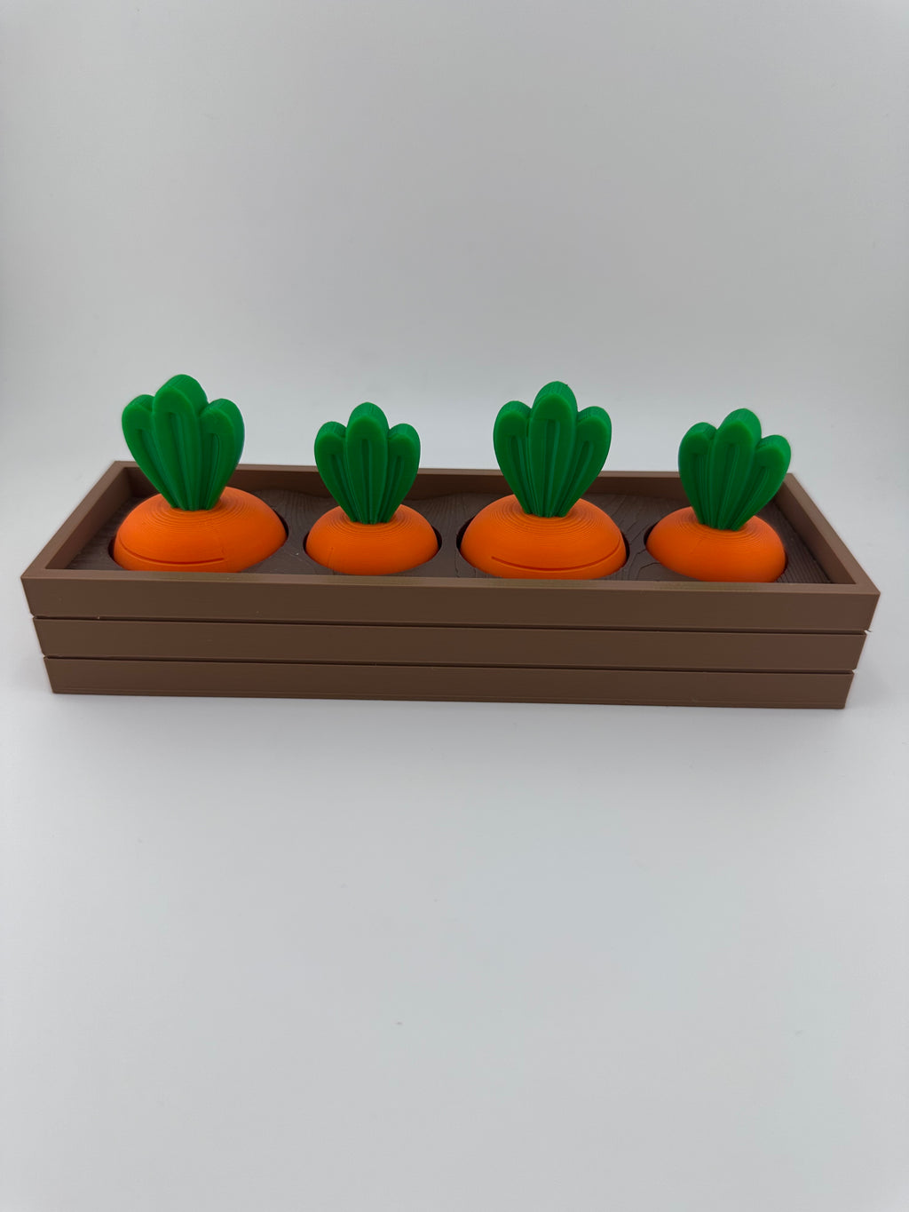 Carrot Garden Set for Spring and Summer Home and Office Decor 3D Printed