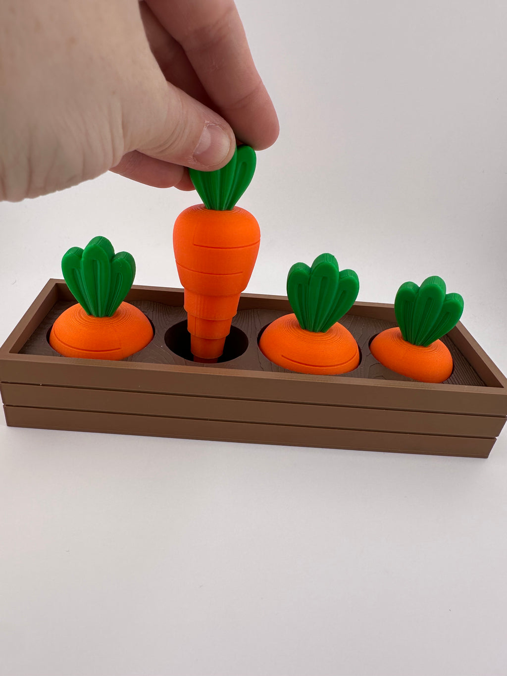 Carrot Garden Set for Spring and Summer Home and Office Decor 3D Printed