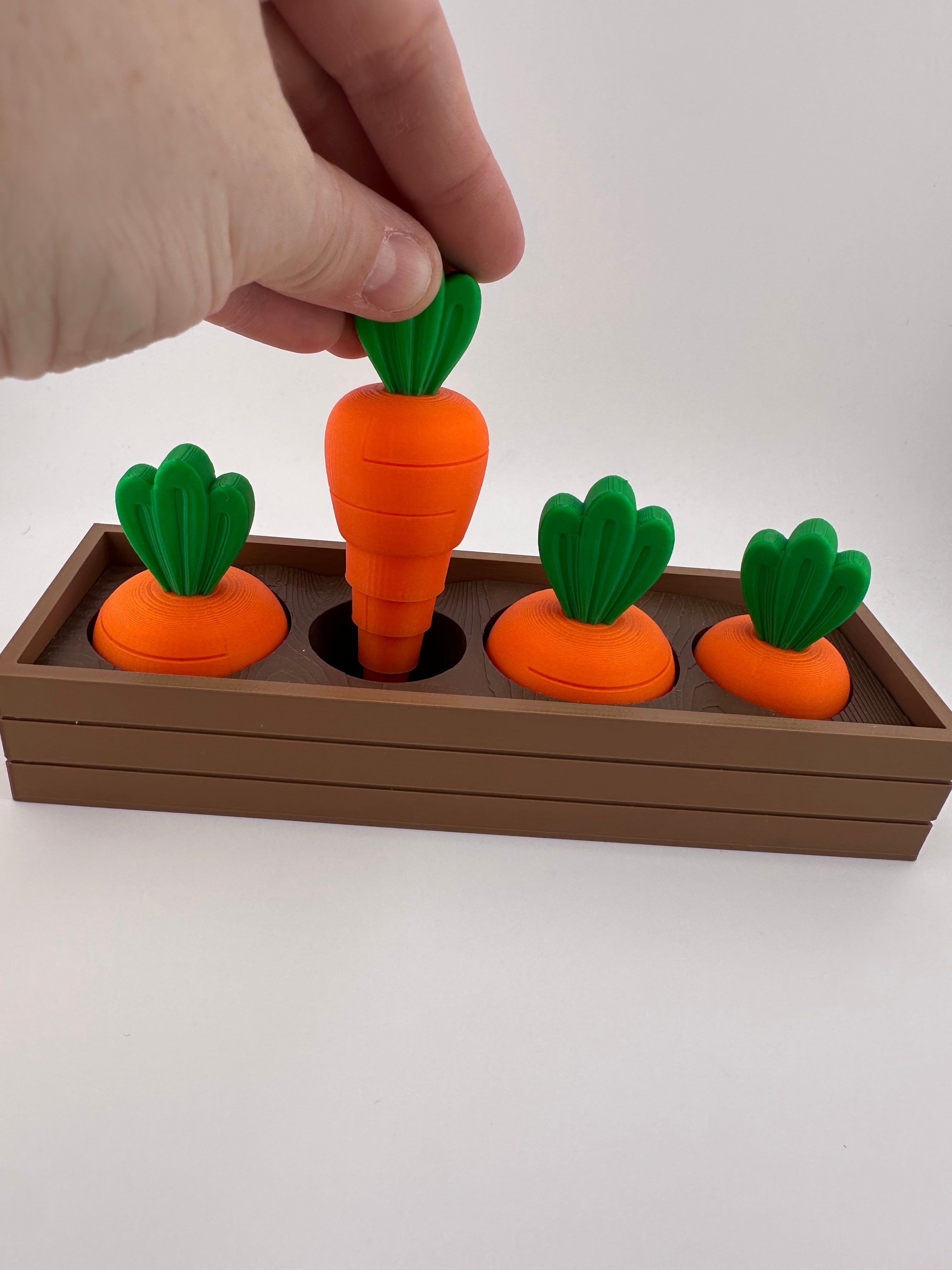 Carrot Garden Set for Spring and Summer Home and Office Decor 3D Printed