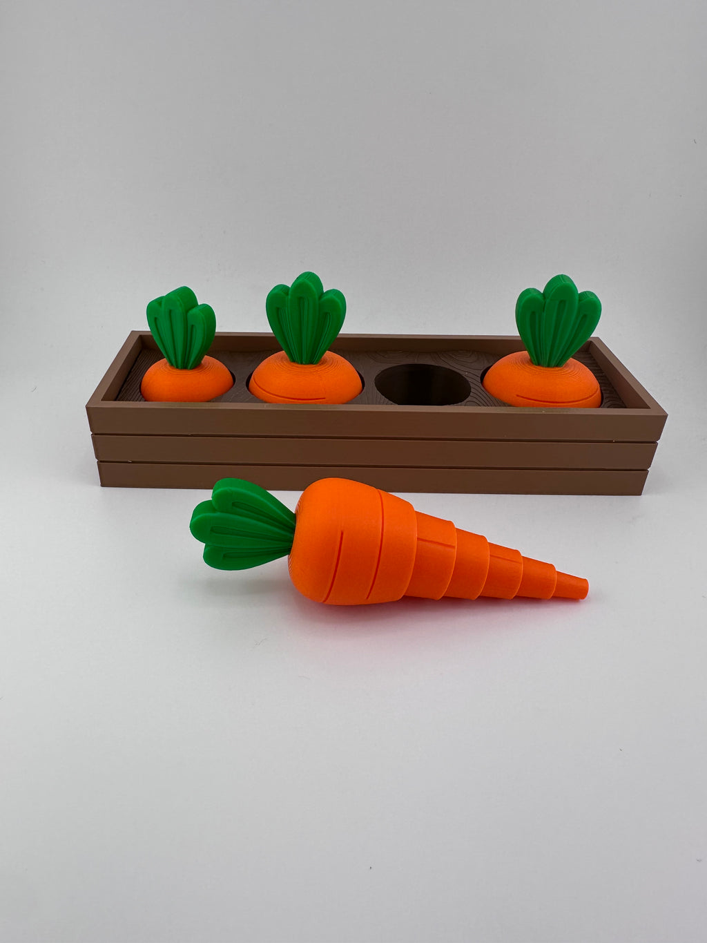 Carrot Garden Set for Spring and Summer Home and Office Decor 3D Printed