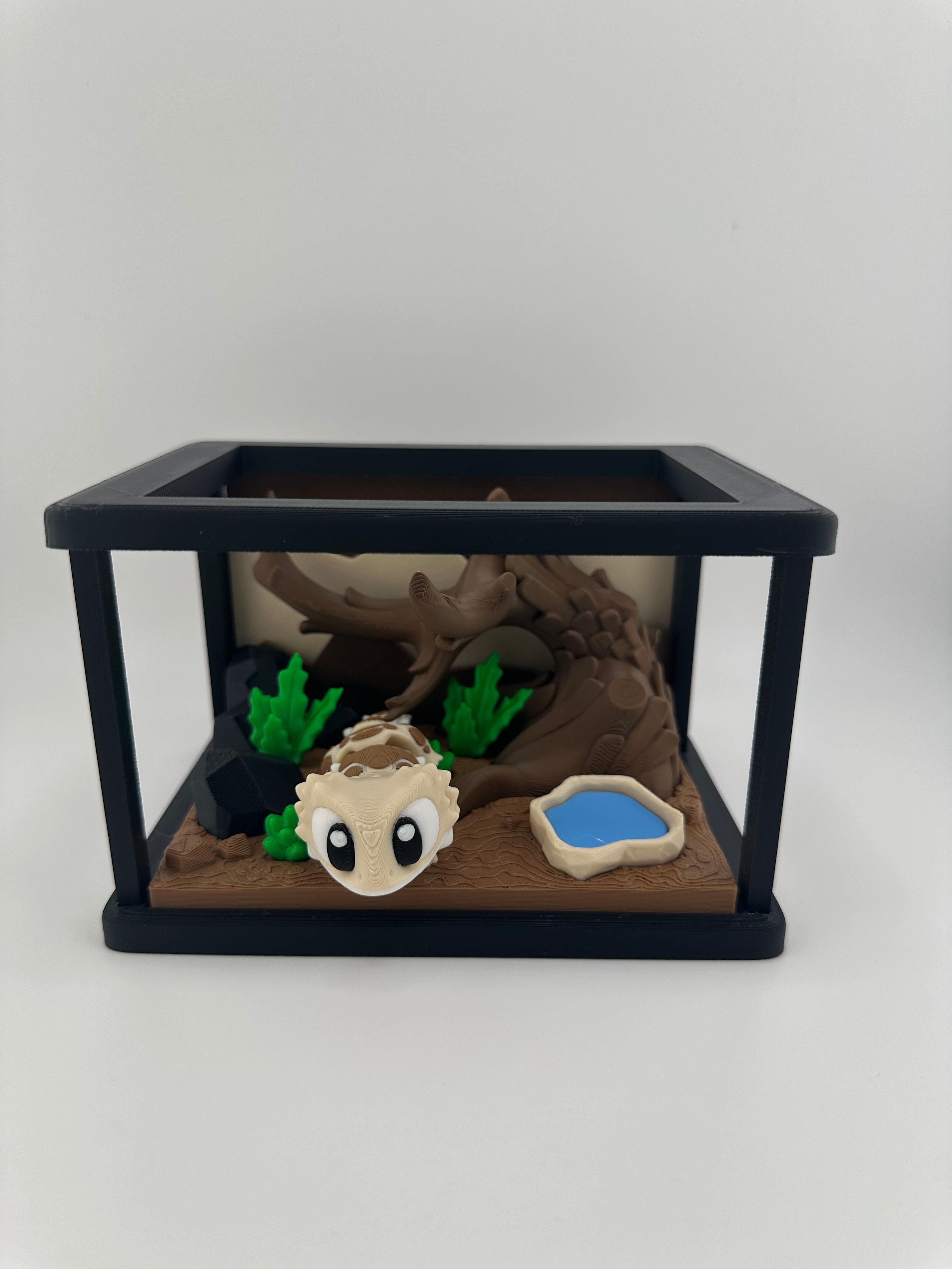 Gecko and Bearded Dragon Habitat Set