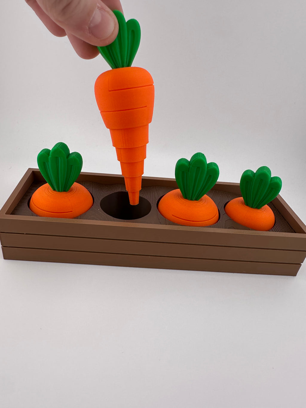 Carrot Garden Set for Spring and Summer Home and Office Decor 3D Printed
