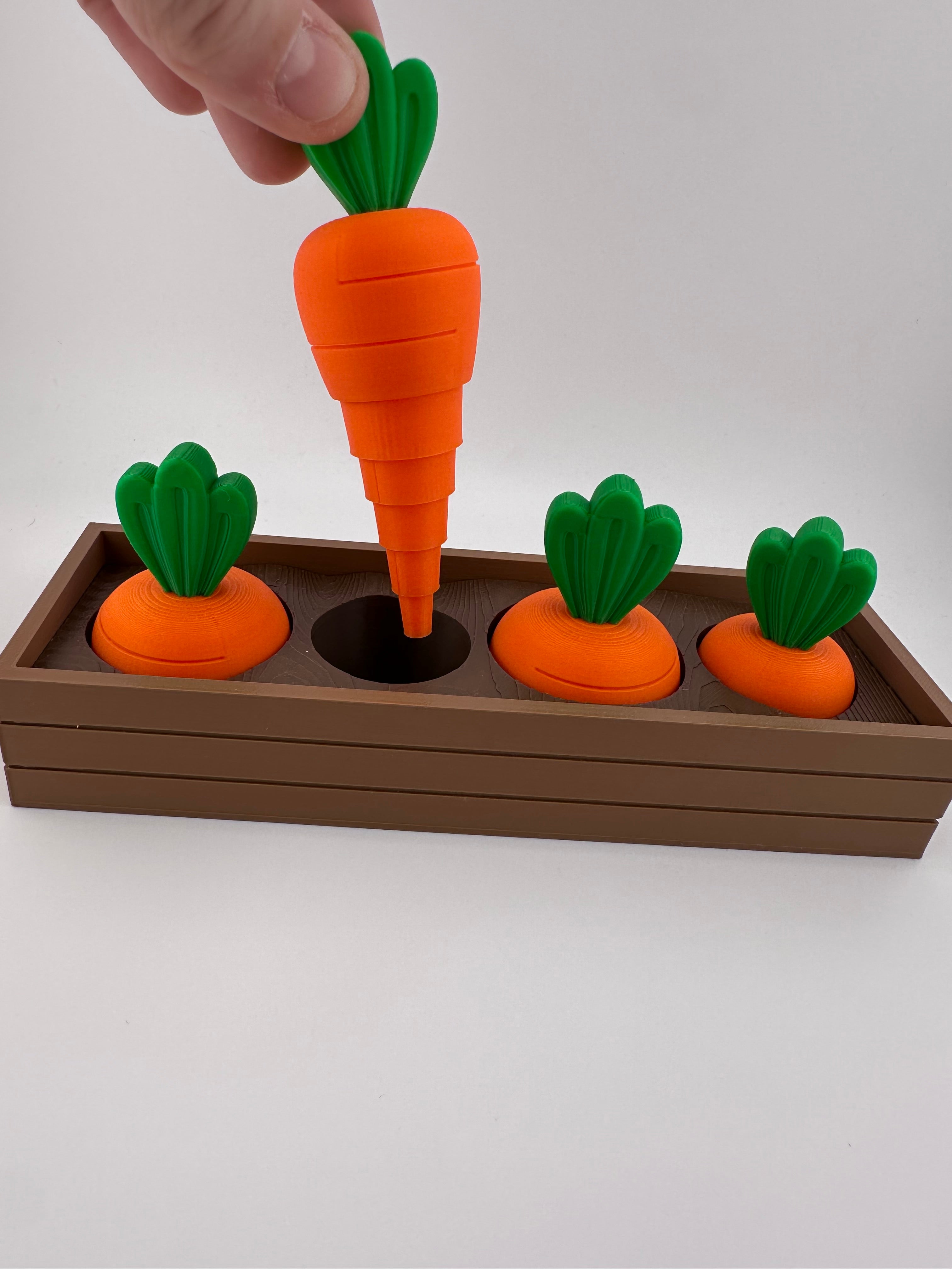 Carrot Garden Set for Spring and Summer Home and Office Decor 3D Printed