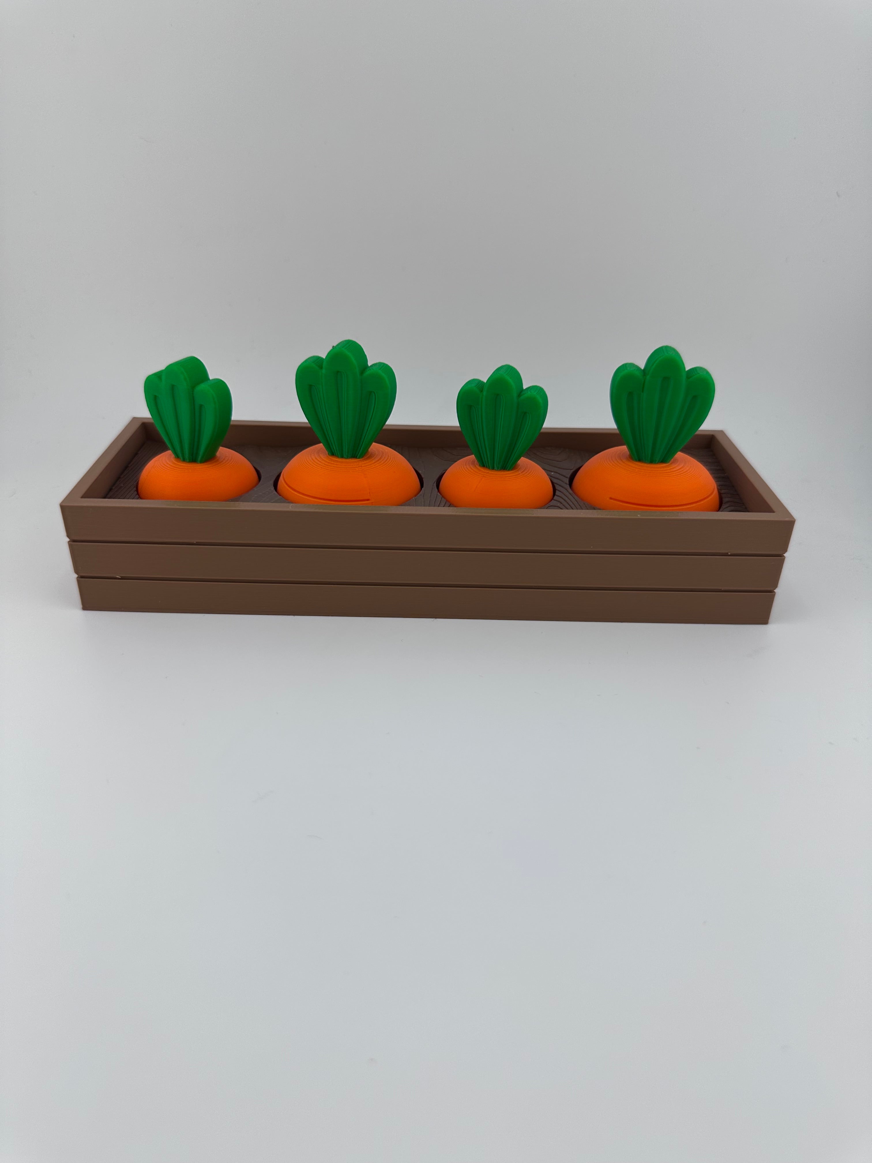 Carrot Garden Set for Spring and Summer Home and Office Decor 3D Printed