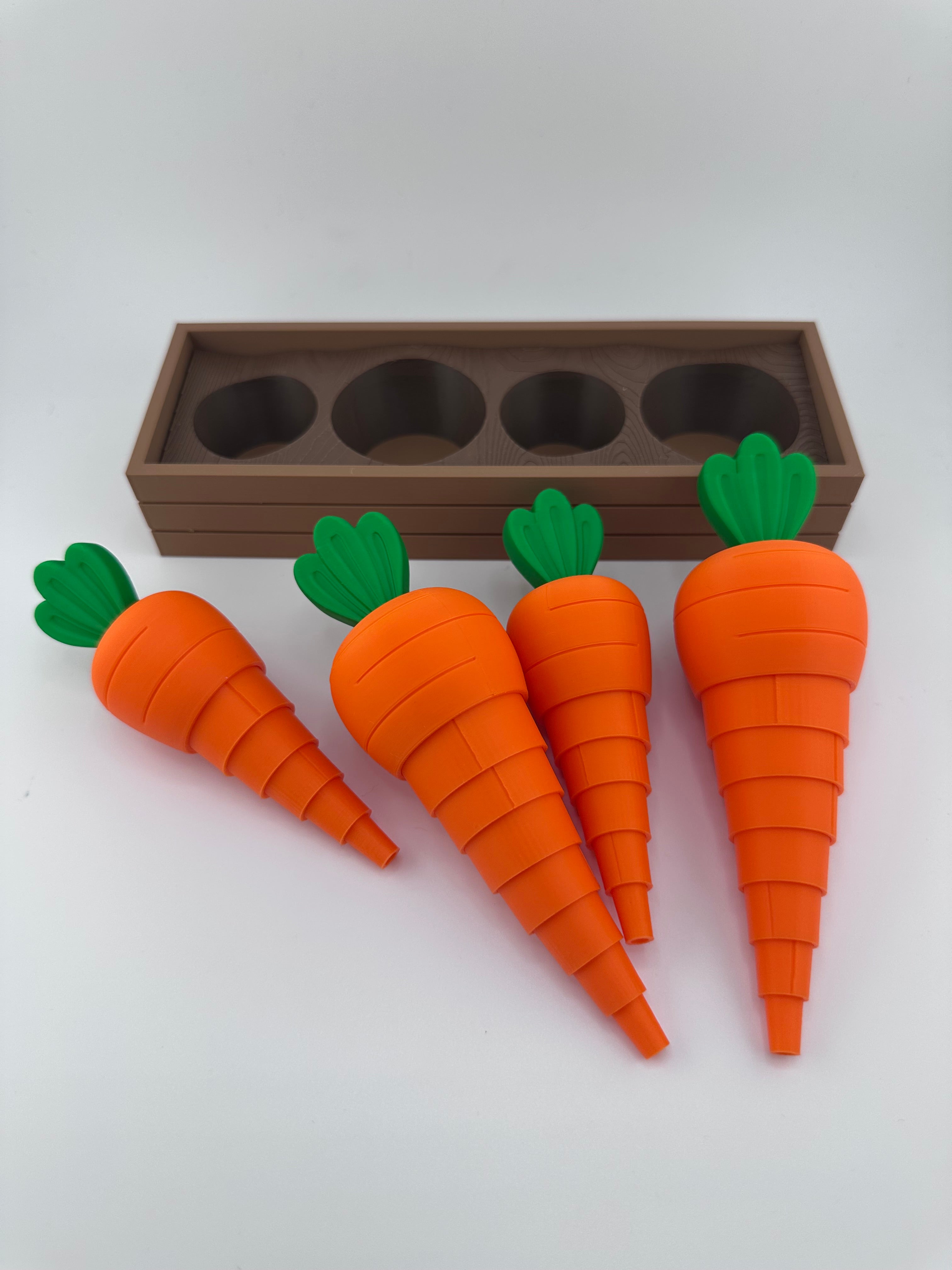 Carrot Garden Set for Spring and Summer Home and Office Decor 3D Printed