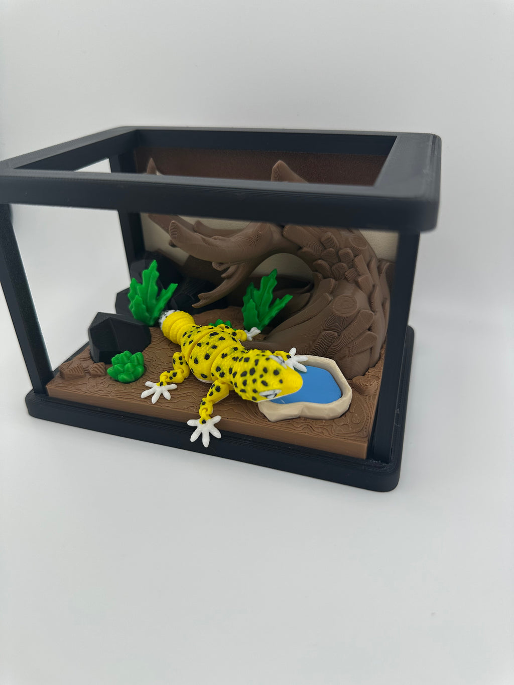 Gecko and Bearded Dragon Habitat Set