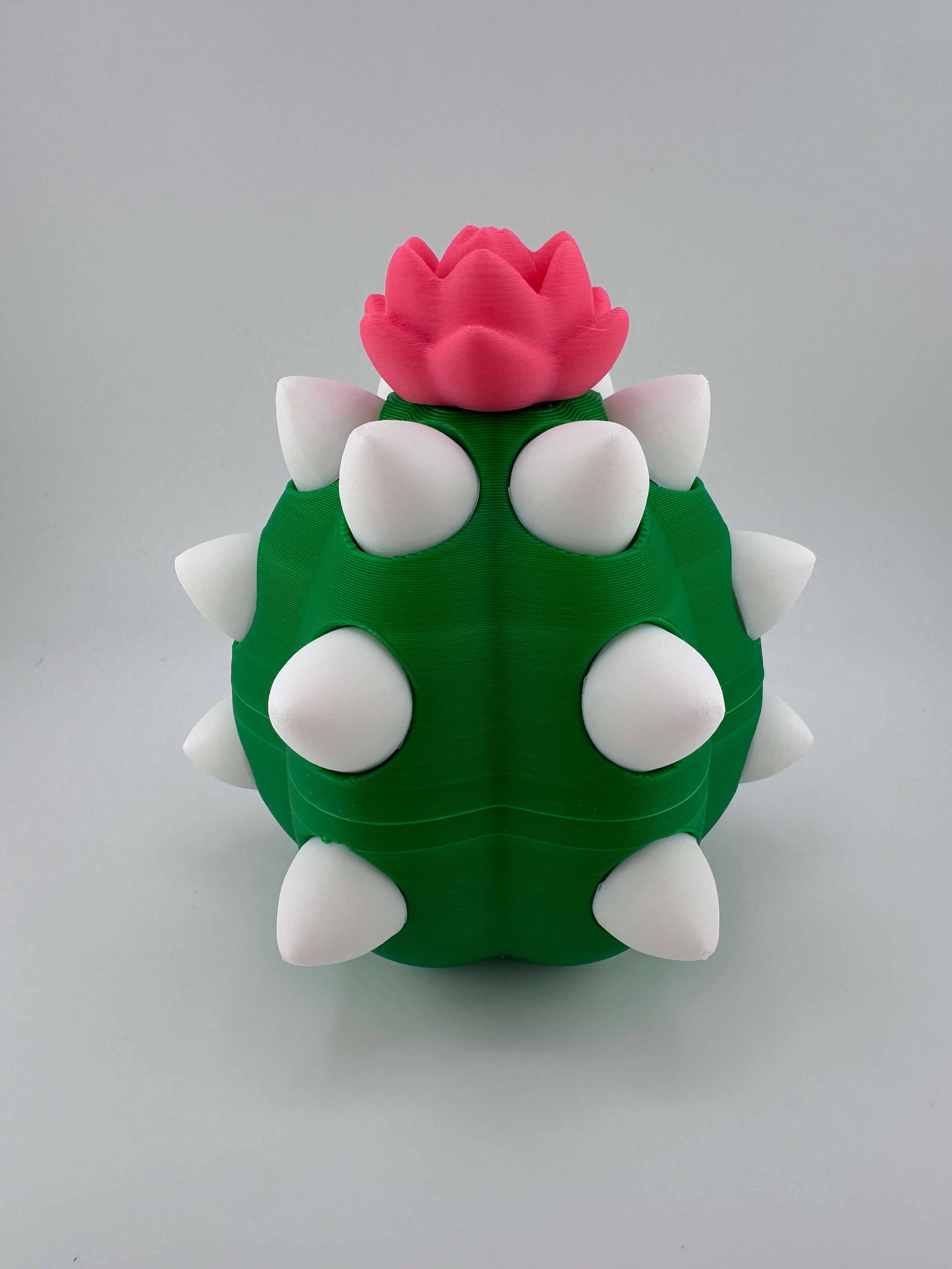 Cactus Dragon and Egg Set 3D Print Figurine and Container