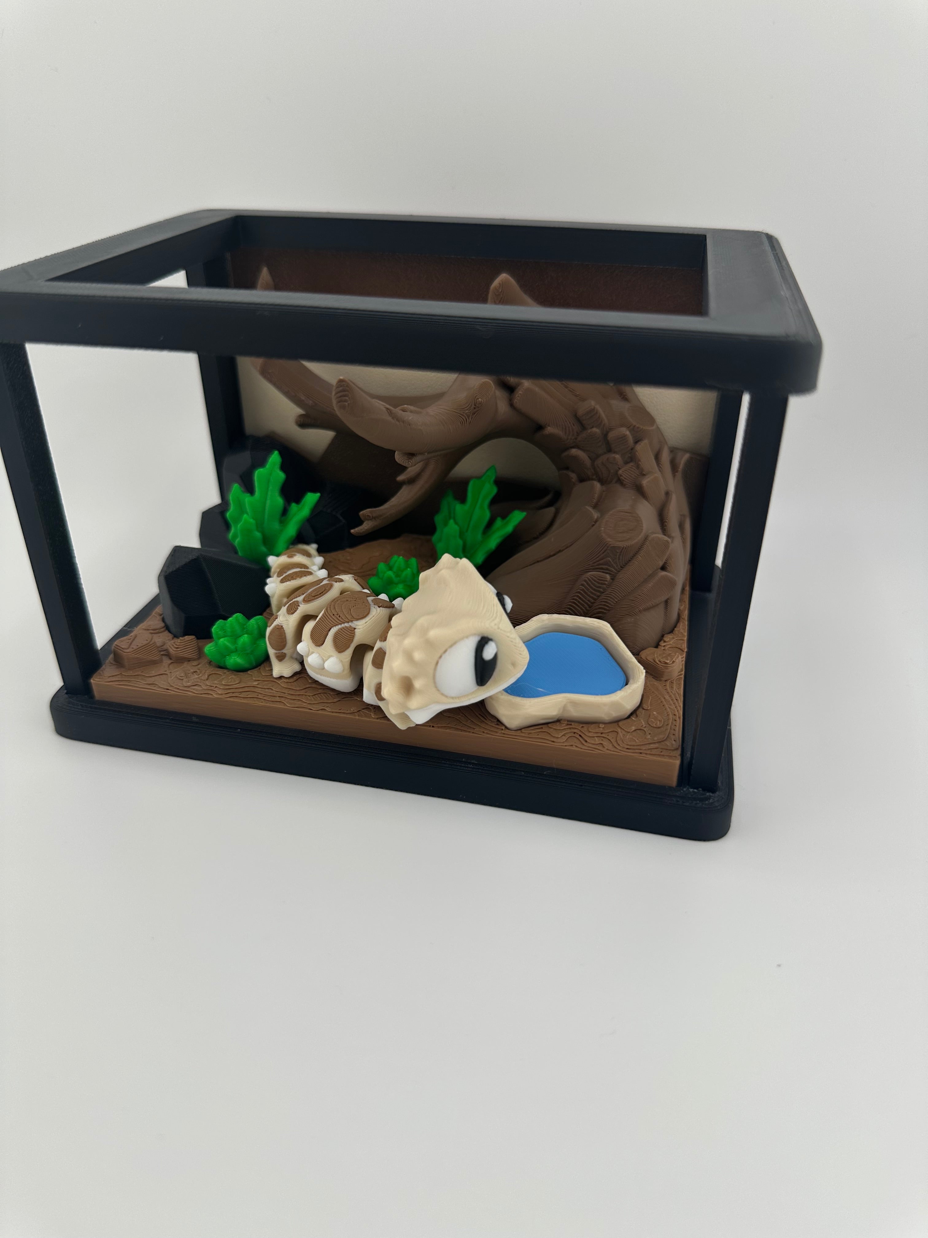 Gecko and Bearded Dragon Habitat Set