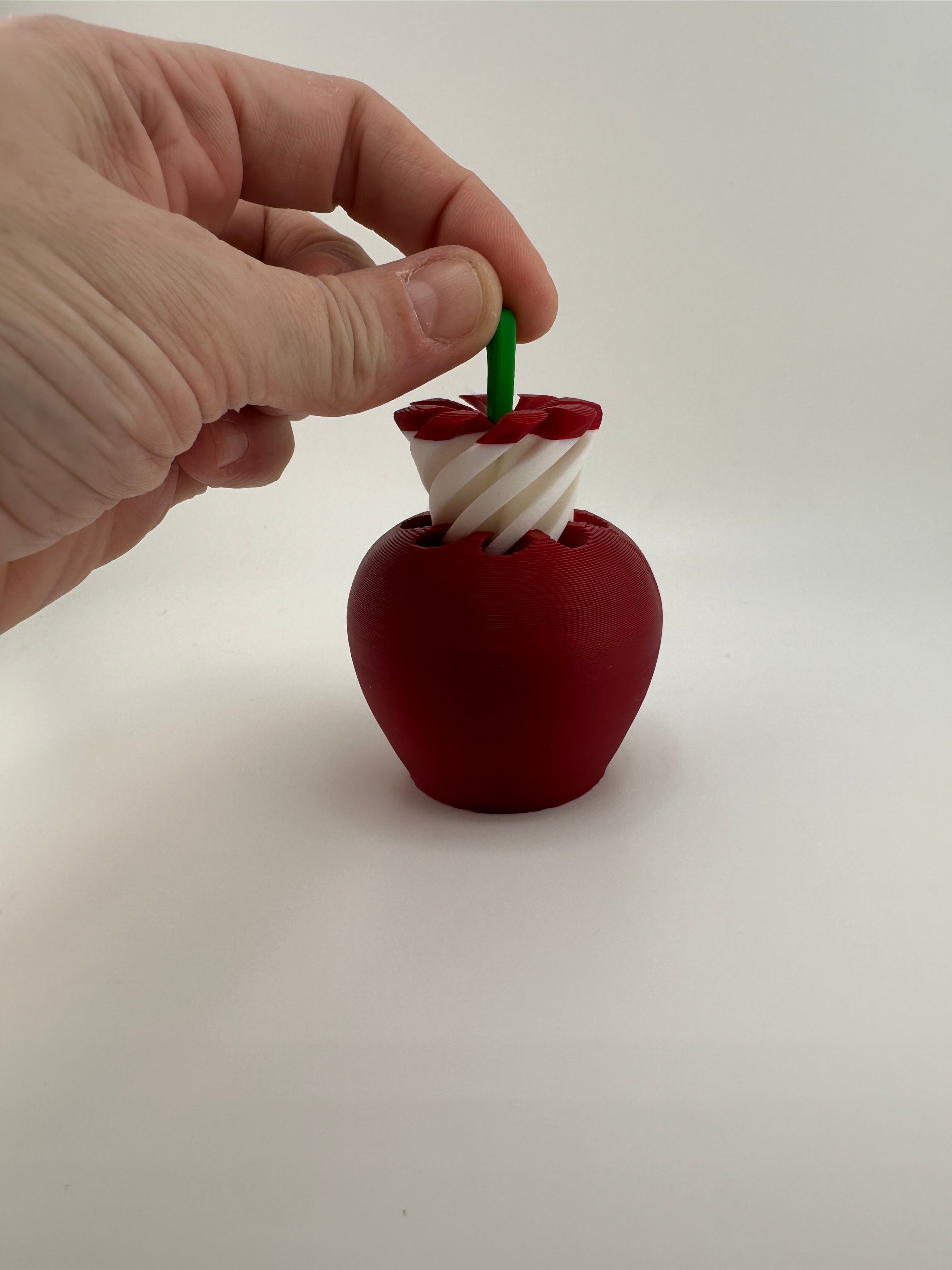 Apple & Core Spiral Twist Fidget
