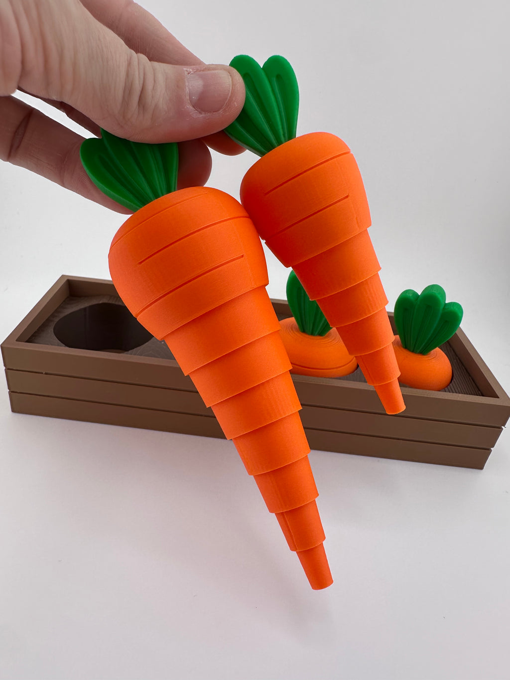 Carrot Garden Set for Spring and Summer Home and Office Decor 3D Printed