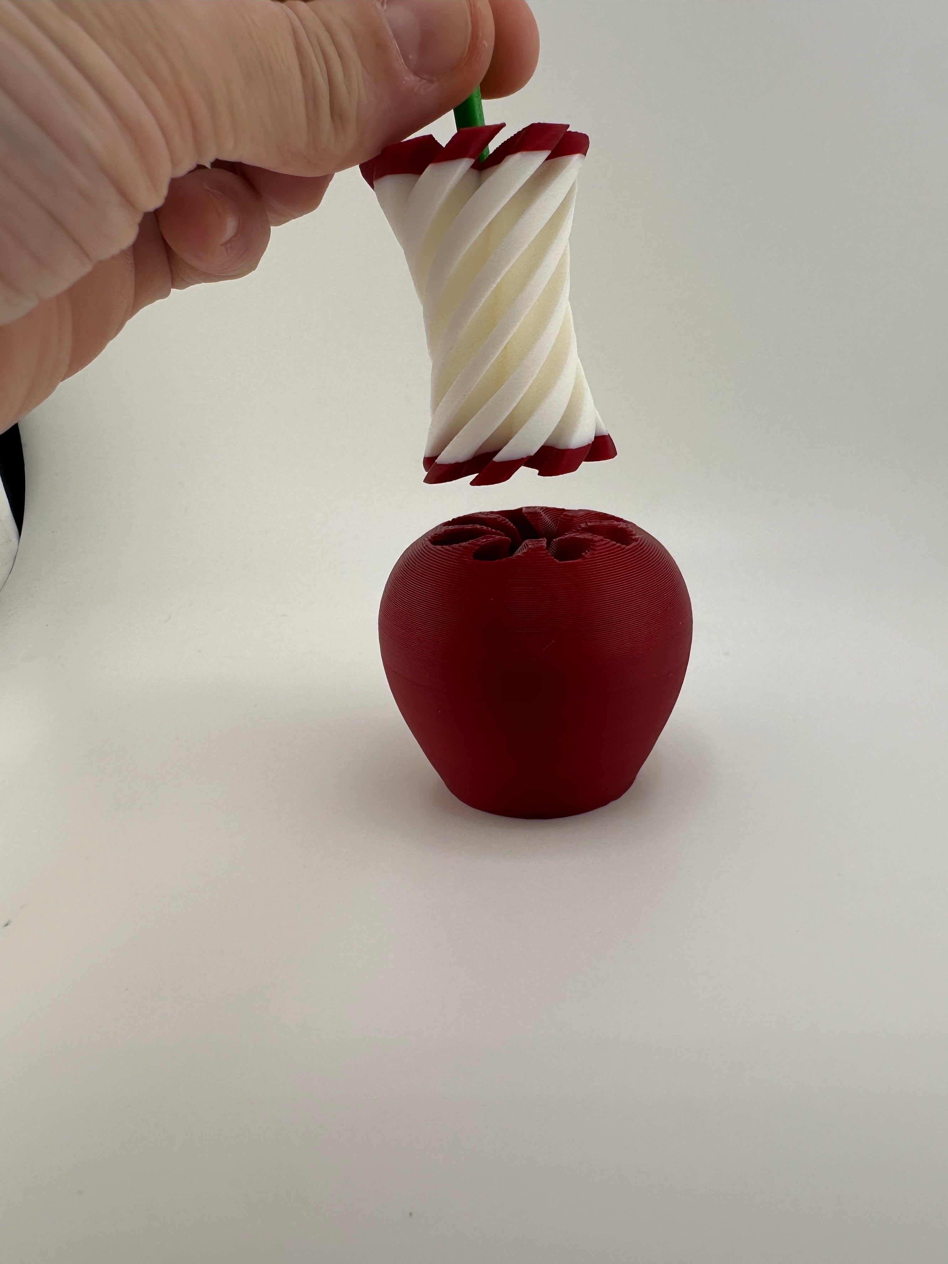 Apple & Core Spiral Twist Fidget