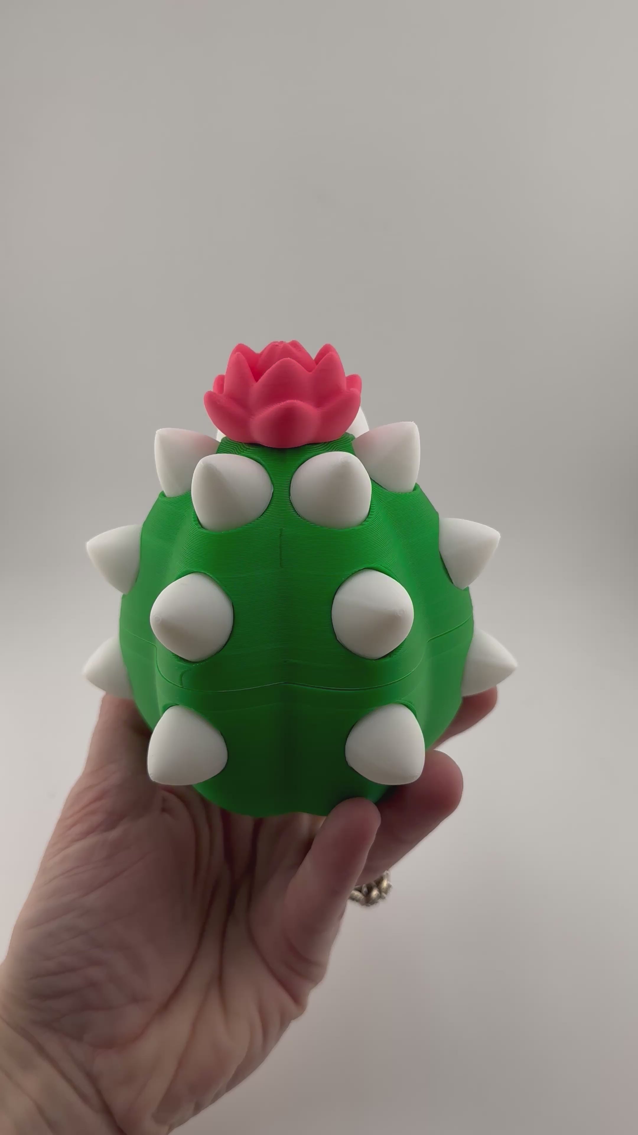 Cactus Dragon and Egg Set 3D Print Figurine and Container
