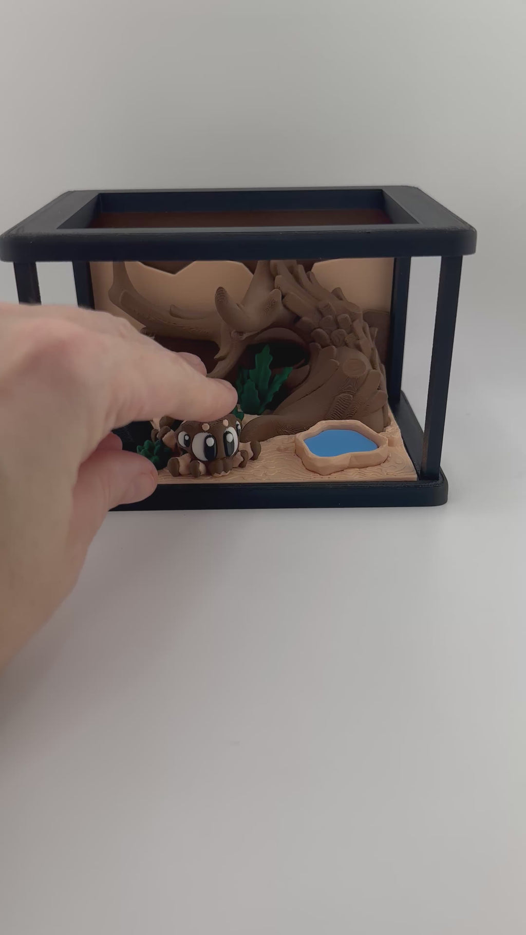 Spider Habitat and Spider 3D Printed Set