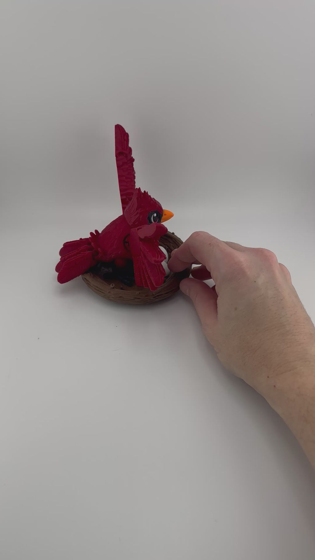 Cardinal with Nest Articulated 3D Printed