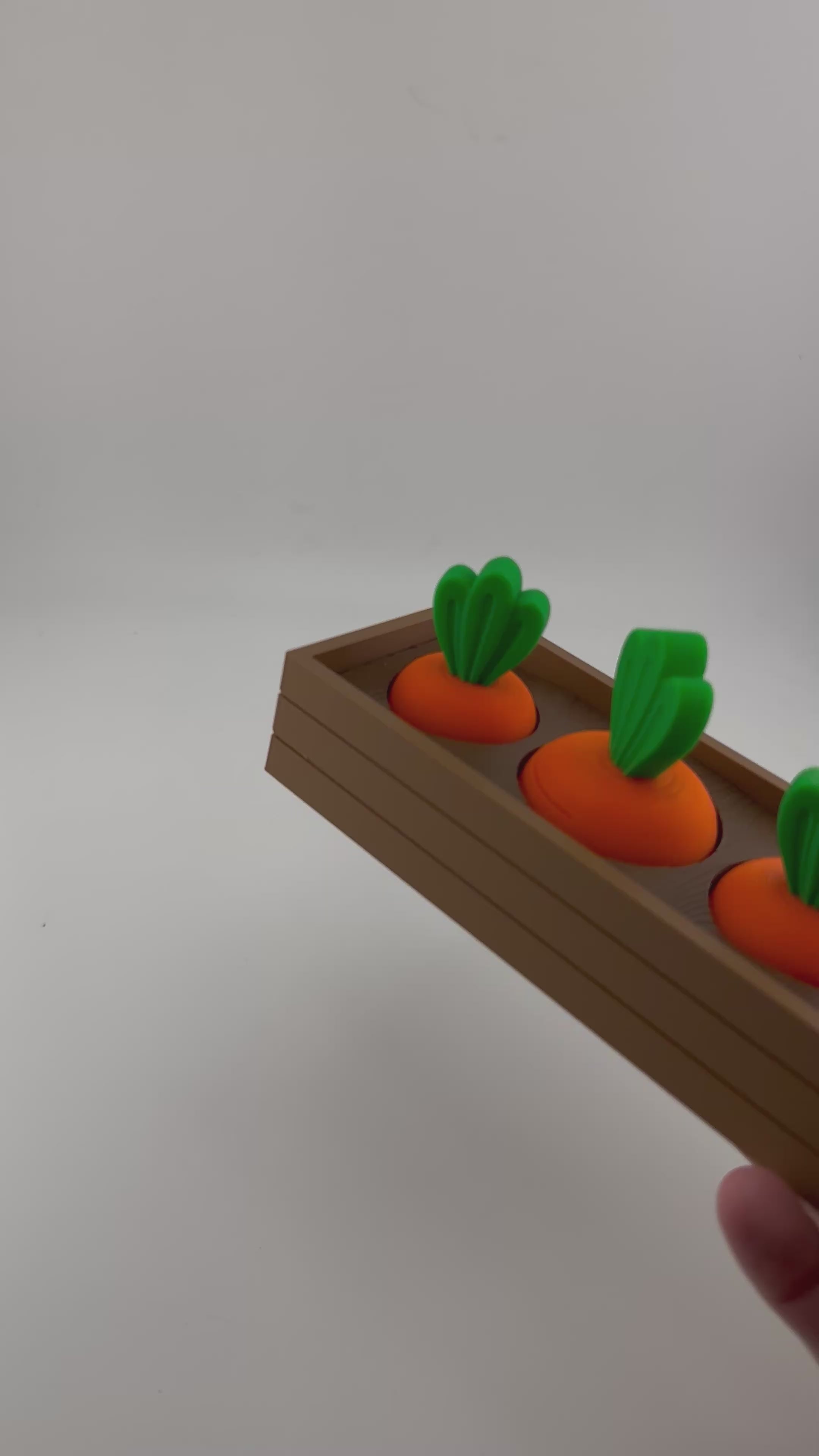 Carrot Garden Set for Spring and Summer Home and Office Decor 3D Printed